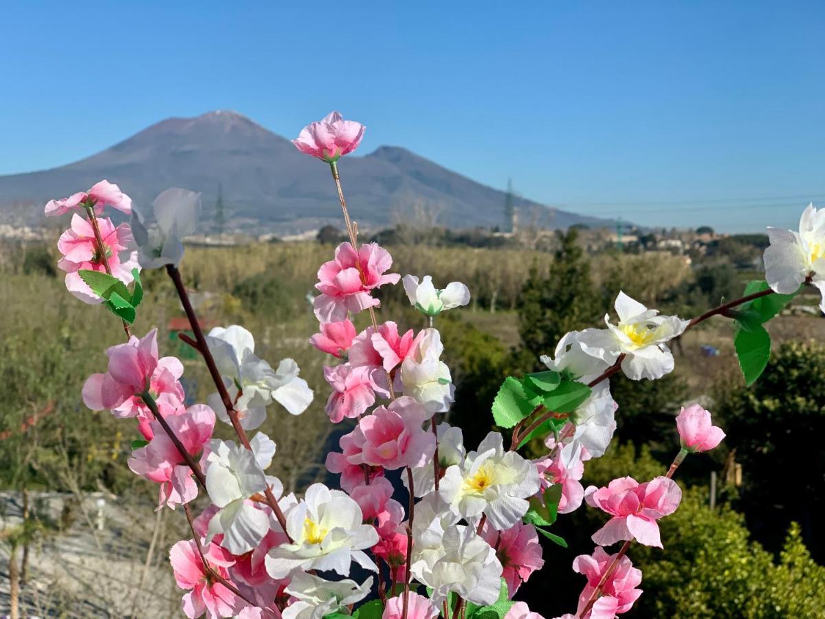 Villa Valentino Pompeji Εξωτερικό φωτογραφία
