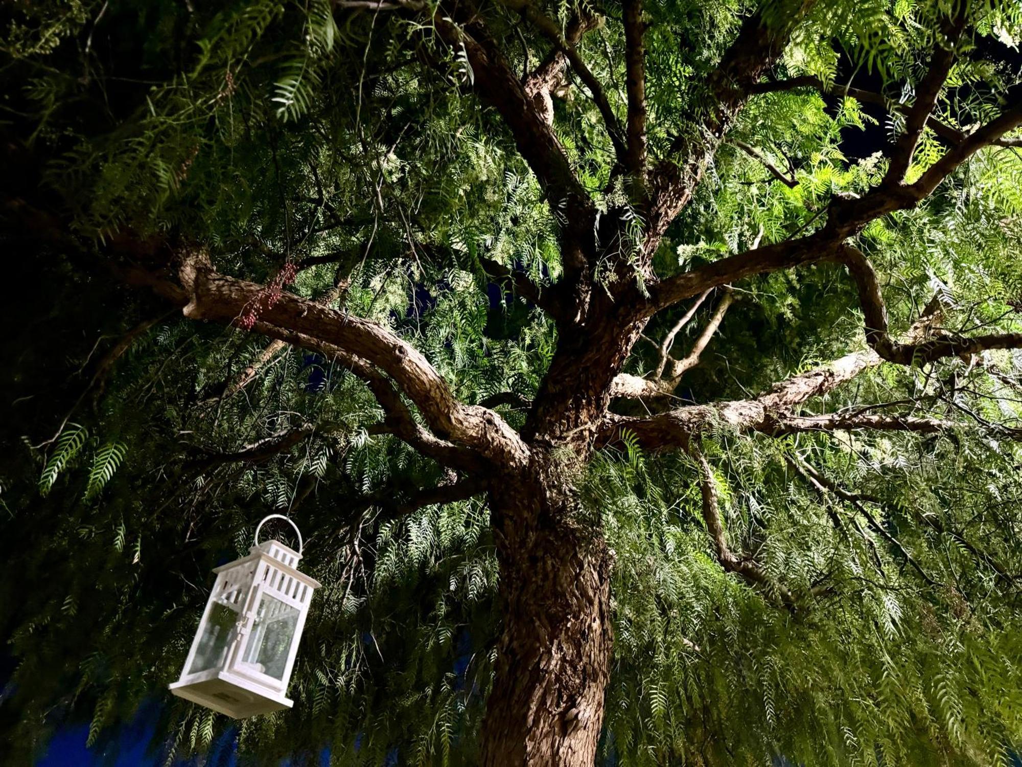 Villa Valentino Pompeji Εξωτερικό φωτογραφία